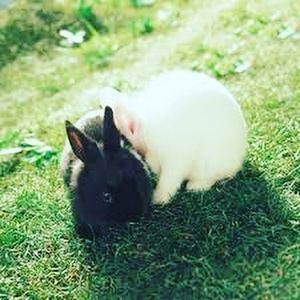 Meet your Posher, Jack